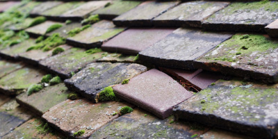 Wilshamstead roof repair costs